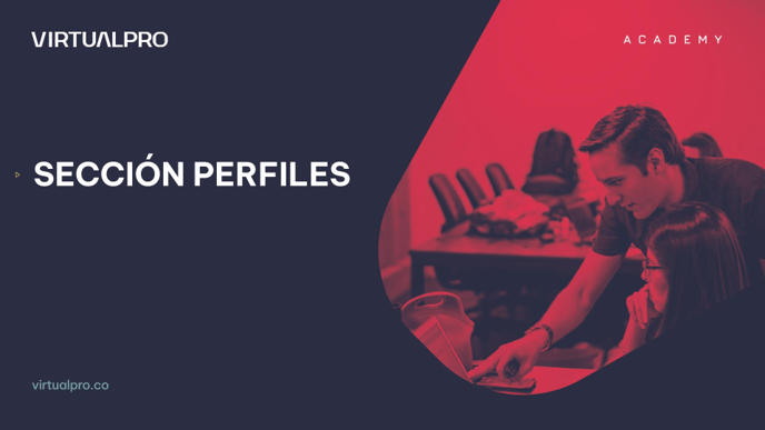 PERFILES